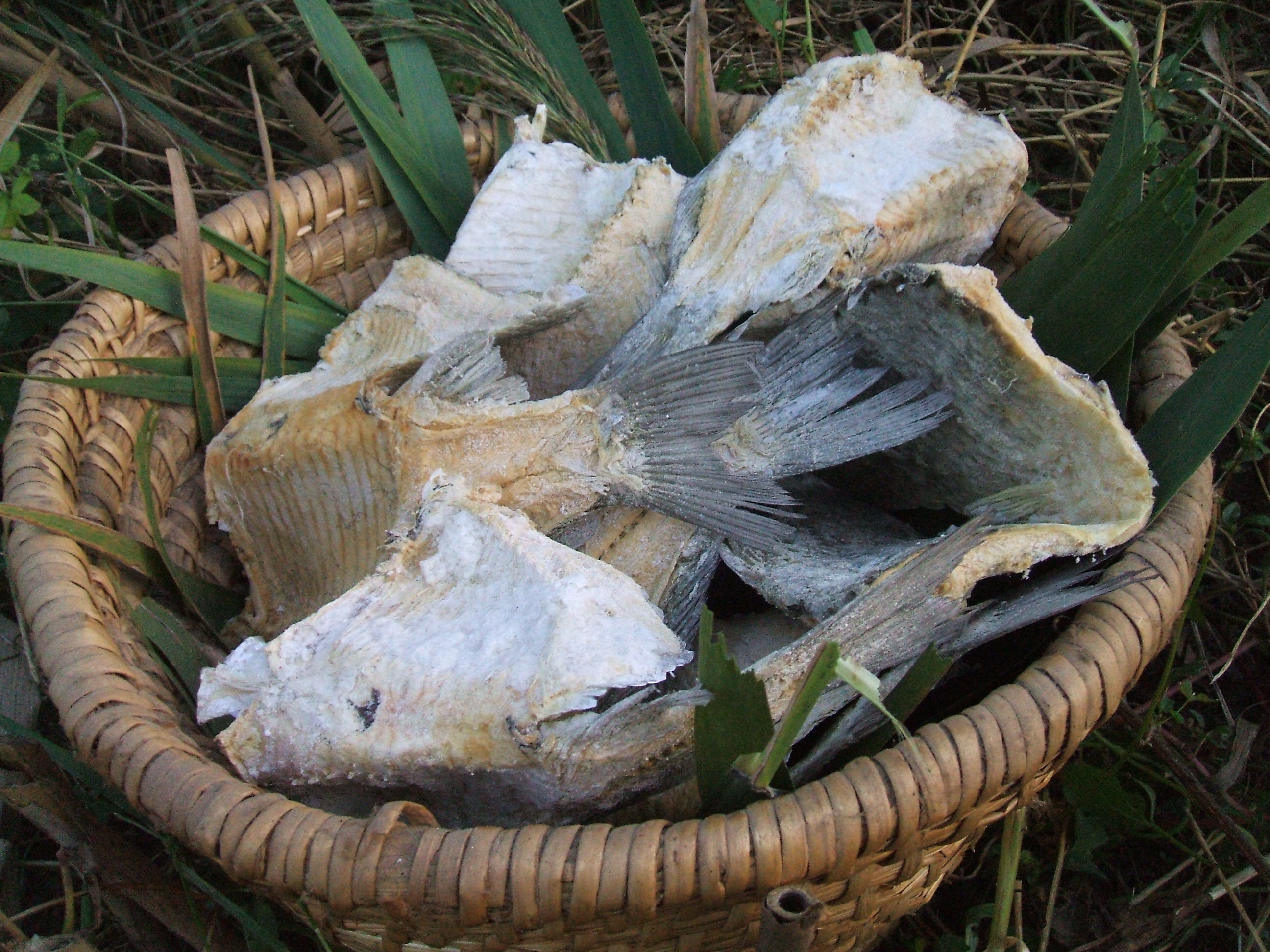 A kész biltong