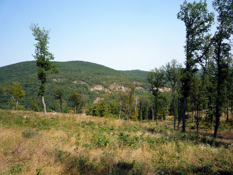 Cser-hegy (521 m) és a Dömör-kapu sziklái